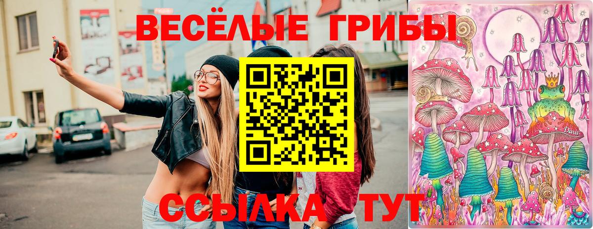 Вологда  Псилоцибиновые грибы Psilocybe  Вход с VPN 